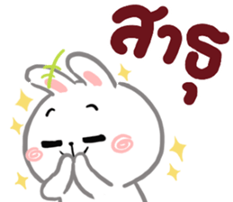 N9: กระต่ายเชียร์ ส่งความสุข รูปที่ 24