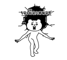 28805040