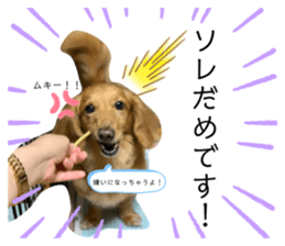 288083971