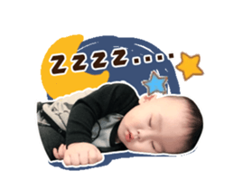 28834477