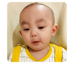 288456584