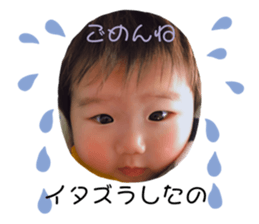 288458250