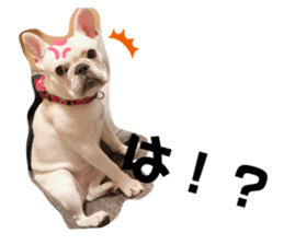 288459486