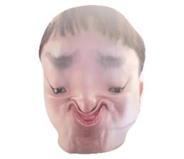 288490763