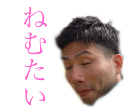 288562537