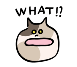 2888294