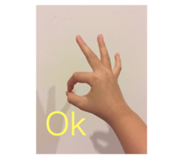288904659
