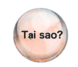 288986313