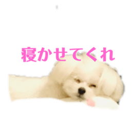 289018638