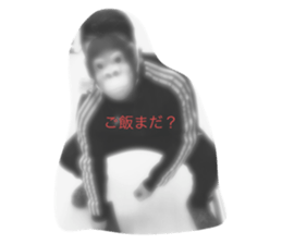 289081204