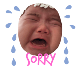 289090880