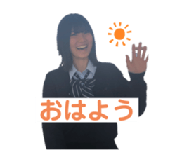 289105088