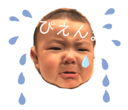 289153460