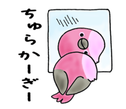 2891957