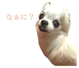 28922460