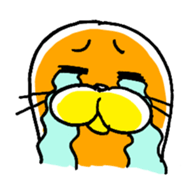 289240