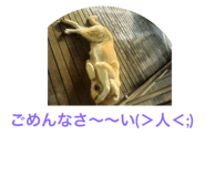28924069