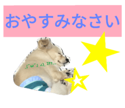 28924692