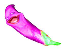 289268365