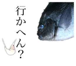289324366