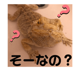 289328615