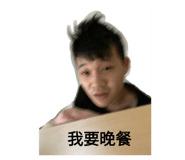 289333635