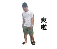 289333636