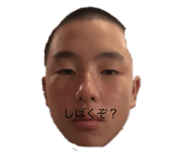 289389208