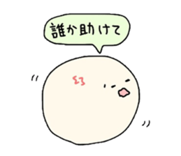 2895648