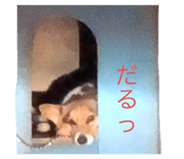 289593195