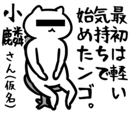 28977411