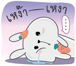 289797428
