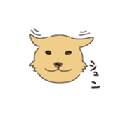 289807055