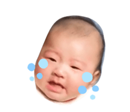 289809096