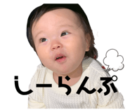 289828877