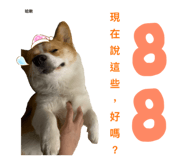 289931295