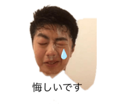 290121598