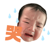 290149423