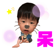 290149439