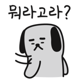 290153204