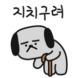 290153217