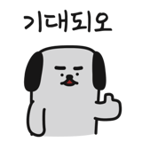 290153221