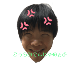 290156525