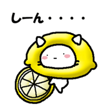 290159989