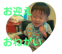 290220551