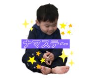 290231518