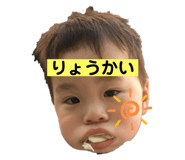 290231529