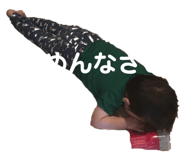 290231531
