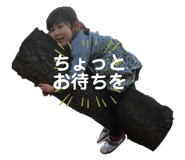 290231538