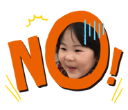 290231540